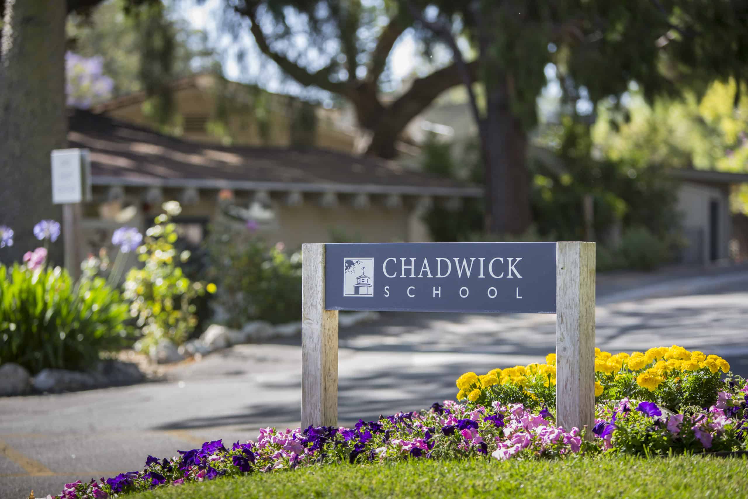 School Name